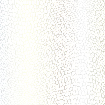 White Silver Net Background