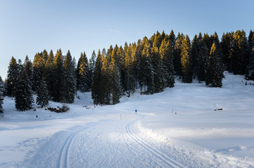 Cross-country Skiing Track and Clear Sky