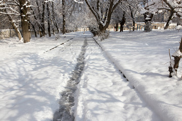path in the snow on the nature