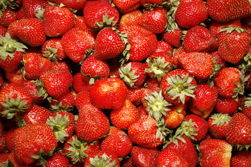 Freshly picked strawberry at farmers market stall
