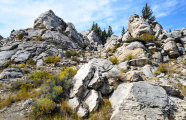 Yellowstone National Park