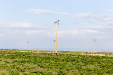 Power poles in the Outdoors