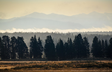 Yellowstone National Park