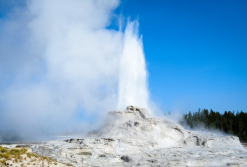 Yellowstone National Park