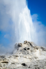 Yellowstone National Park