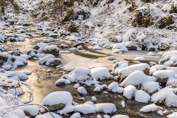 Flowing river at winter - obrazy, fototapety, plakaty