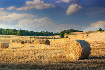 Fototapeta premium Haystacks on the field. Summer, rural landscape.