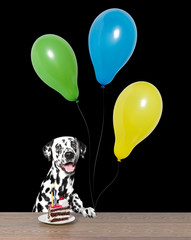 Dog celebrating a birthday with a piece of cake and balloons