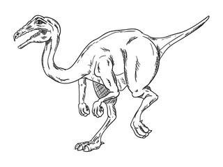 vector - dinosaur