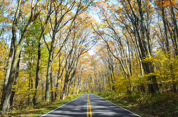 Shenandoah National Park