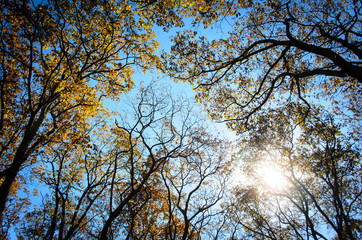 Shenandoah National Park