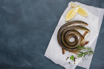 Fresh fish lamprey