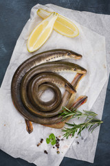 Fresh fish lamprey