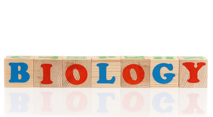 Wooden сubes with letters