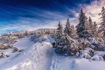 Obraz premium Winter in polish mountains, Beskids