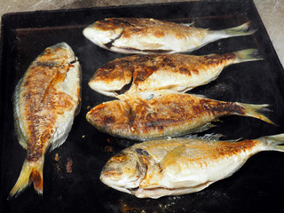 grilled fish