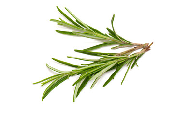 Fototapeta premium rosemary isolated on white