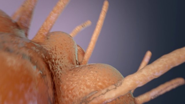 Oranger Zika Virus im Detail, 3D Konzept von Gesundheit und Krankheit