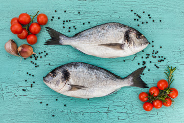 Two raw dorado fish on blue background. Top view.