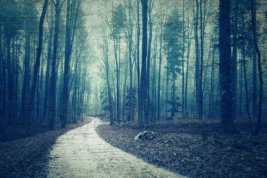 Fototapeta Textured grunge forest landscape with road. Beautiful foggy brown blue colored forest with texture grunge effect.