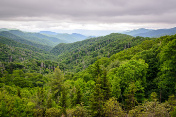 Obraz premium Great Smoky Mountains National Park