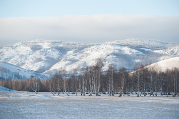 Ural mountains in winter