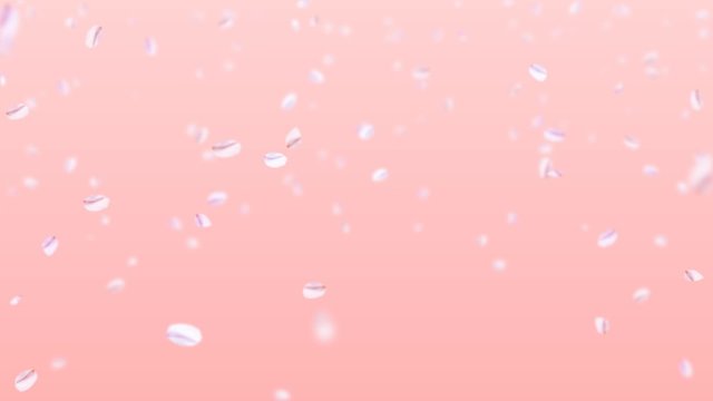舞う桜・ひらひら(ピンク背景)