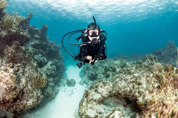 Gordijnen Female SCUBA diver on a reef © whitcomberd