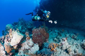 Zelfklevend Fotobehang Sidemount duiken op een koraalrif © whitcomberd