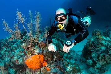 Foto auf Glas Sidemount-Tauchen an einem Korallenriff © whitcomberd