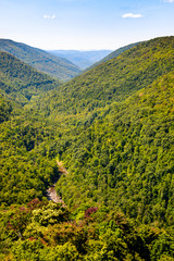 Blackwater Falls State Park