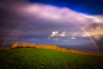 Naklejka na ściany i meble Rainbow over the meadow