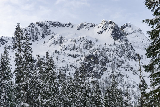 Snow Covered Mountain Ridge with Summit Framed by Forest Trees