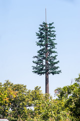 tree shape signal tower