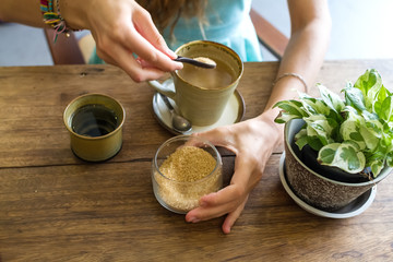 Obraz na płótnie Canvas Cup of tea on a wooden table, a flower ы a pot on a table, tasty tea, fragrant tea, kiromichesky natural ware 