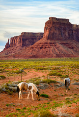 Naklejka premium Monument Valley Navajo Tribal Park