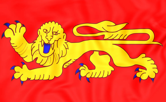 Flag of Aquitaine, France.