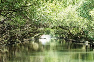 Sihcao Oe Green Tunnel State Park, Tainan, Taiwan