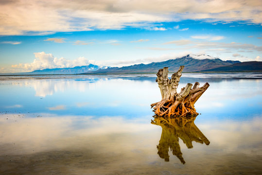 Antelope Island State Park