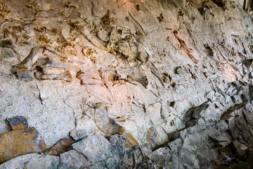 Dinosaur National Monument