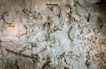 Dinosaur National Monument © Zack Frank