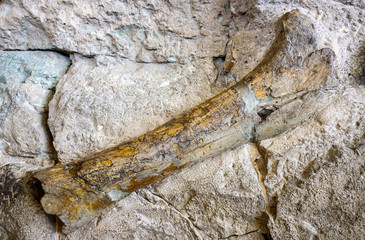 Dinosaur National Monument © Zack Frank