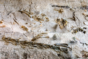 Dinosaur National Monument © Zack Frank