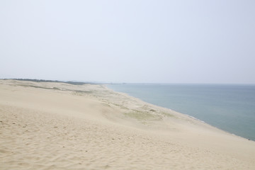 Fototapeta premium Tottori Sand Dunes