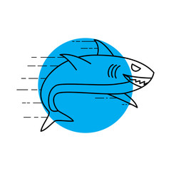 Shark  Head Face | World wildlife day