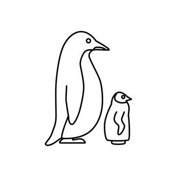 Penguin | world wildlife day
