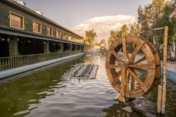 Old noria or waterwheel inside pool in Iraq