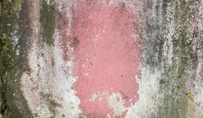 Pink cement wall background