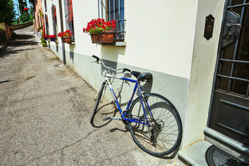 bike loaded with flowers standing in front of an old door