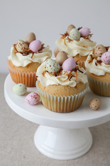 Homemade Easter eggs cupcakes